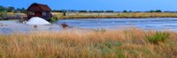 1 - Die Saline von Cervia