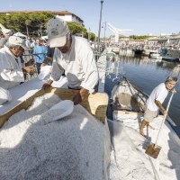 Die neue Salzroute Zwischen Kultur, Gastronomie und Wohlbefinden