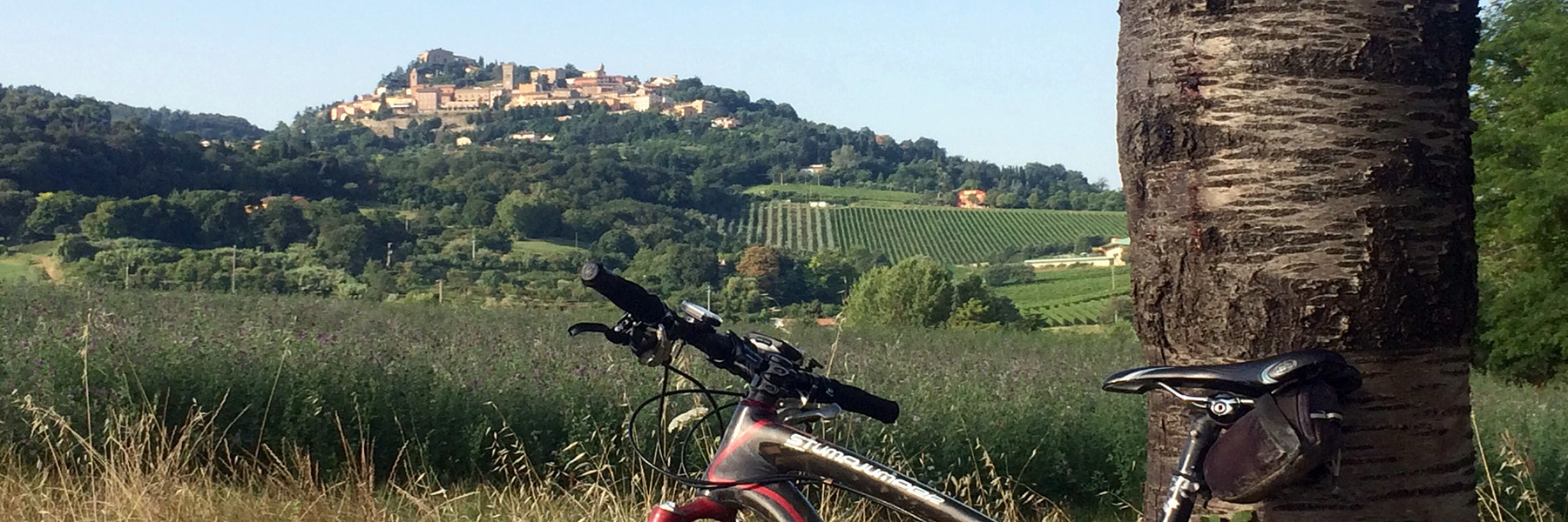 Täglicher Fahrradtour zum San Bartolo Park