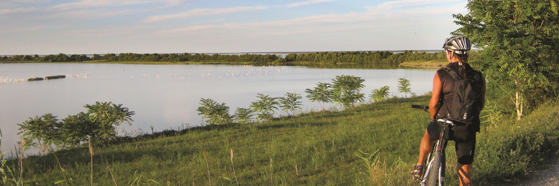 Cervia Verde