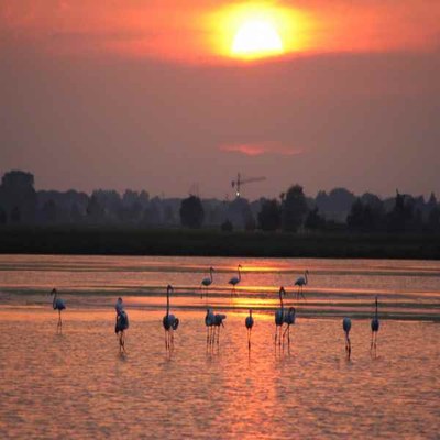 Sonnenuntergang in der Saline, mit dem Fahrrad