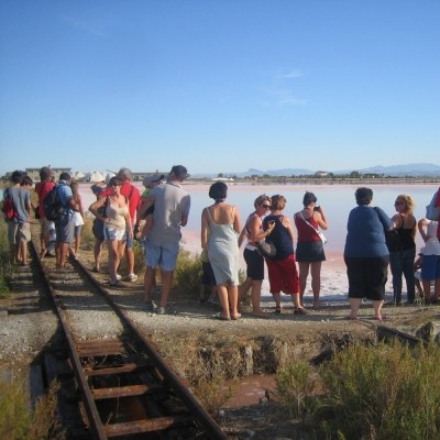 Spaziergang in der Saline auf dem Weg der Nester