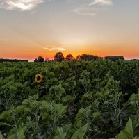 Auf der Entdeckung des Hinterlandes von Cervia