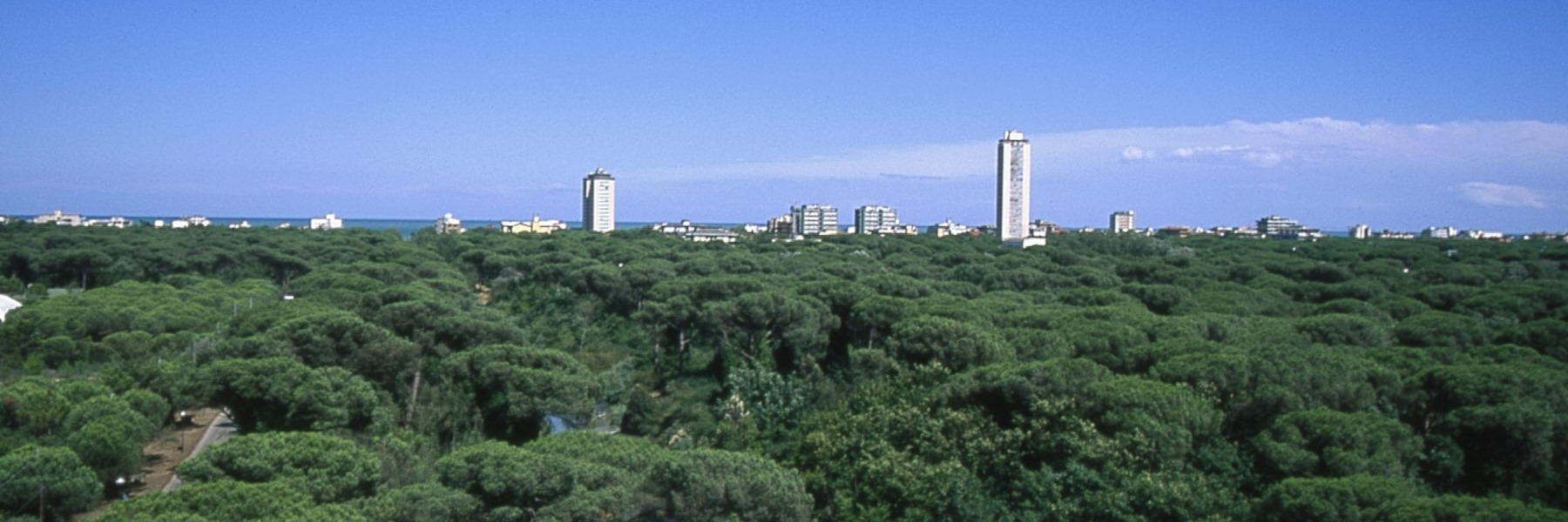 Milano Marittima: von der Uferpromenade zum Pinienwald in der Gartenstadt