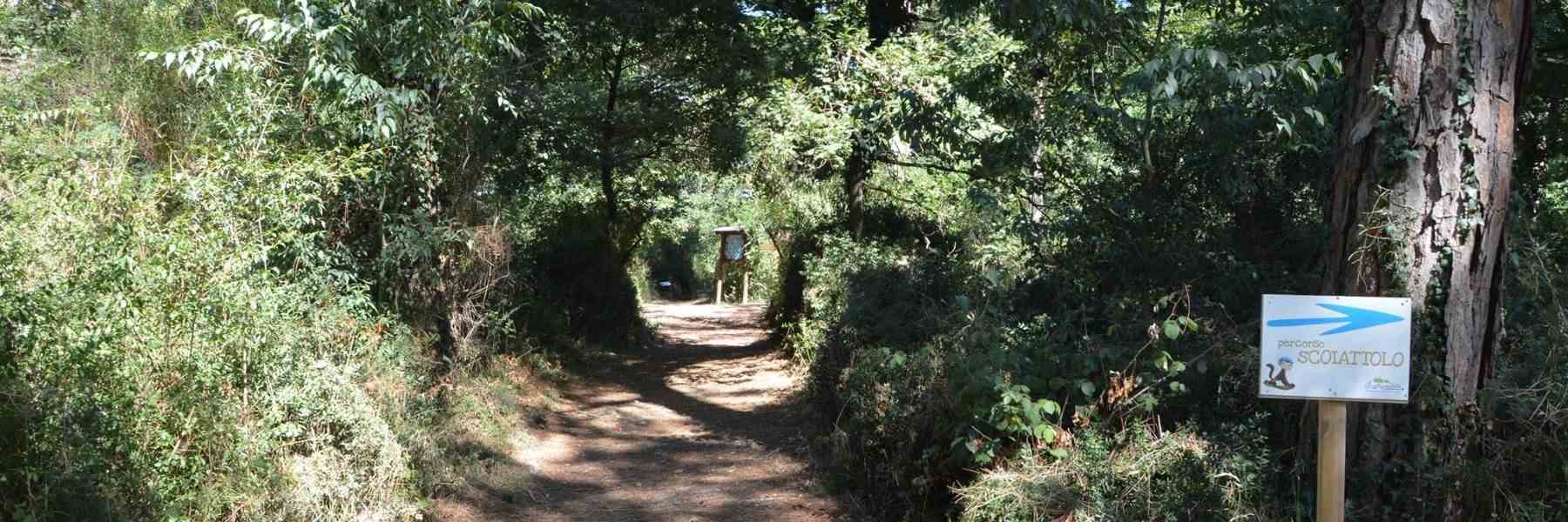 Naturpark, eine grüne Oase