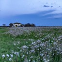 Farmhouses