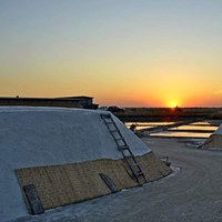 Camillone Saltpan