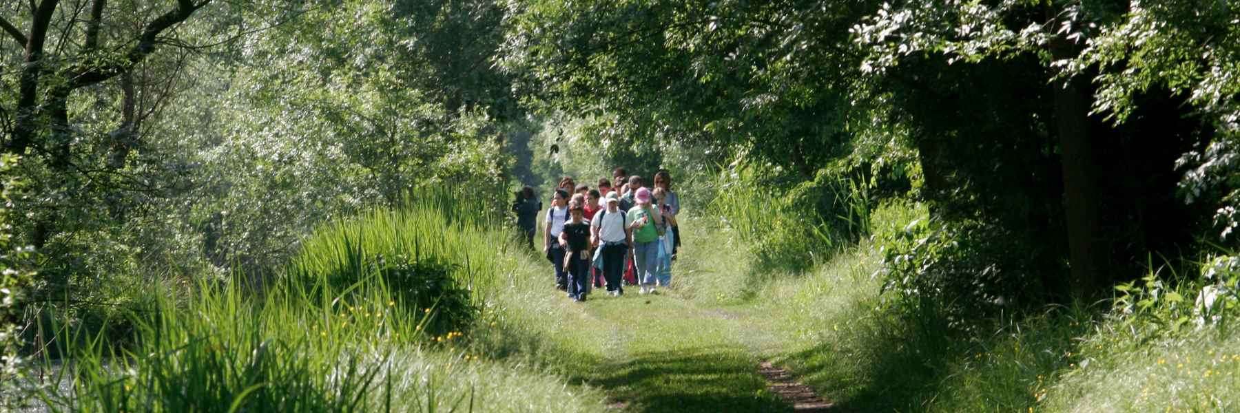 The Pinewood of Cervia - Milano Marittima