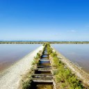 The Salt Pan