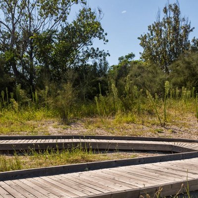 The Dune: an evolving natural environment