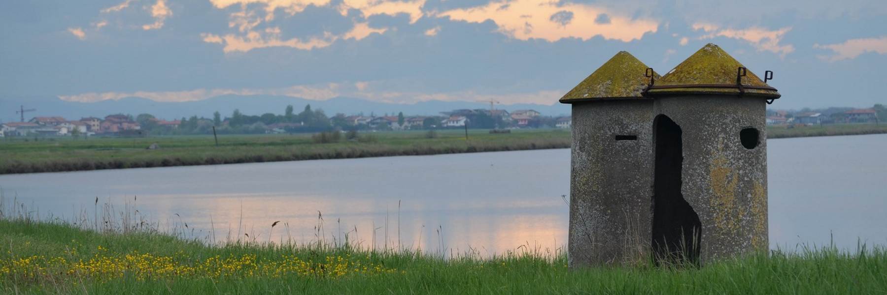 The Watchtowers