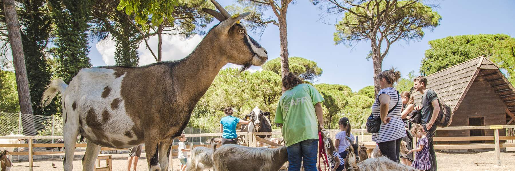 Guided tours in the Old Farm 