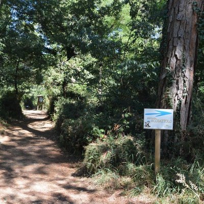 Guided tours in the Old Farm 