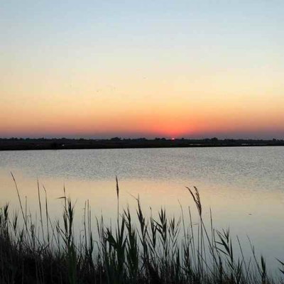 Little train in the salt pan at sunset