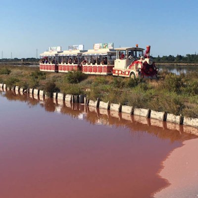 Little train in the salt pan