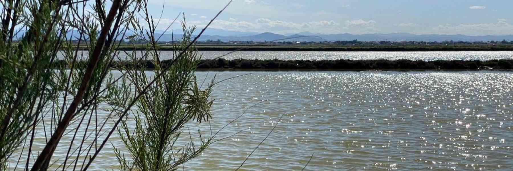 Nordic walking in the saltpan
