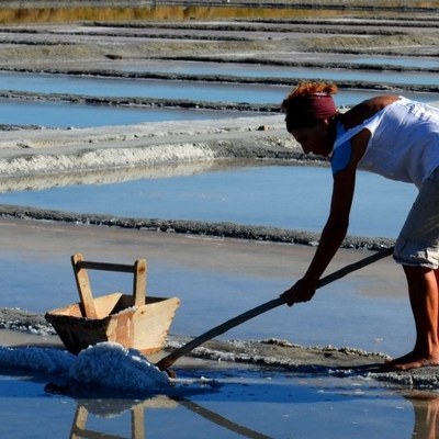 Saltworker for a day