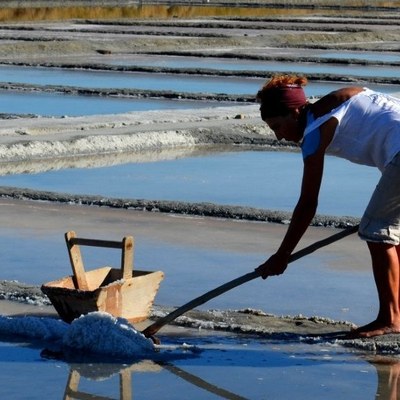 Saltworker for a day