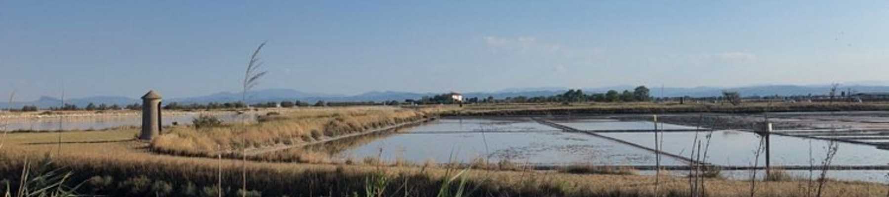 Traces of an ancient Roman saltpan