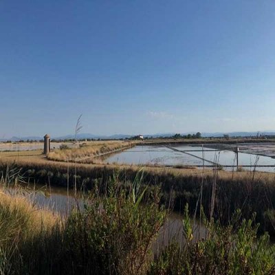 Traces of an ancient Roman saltpan