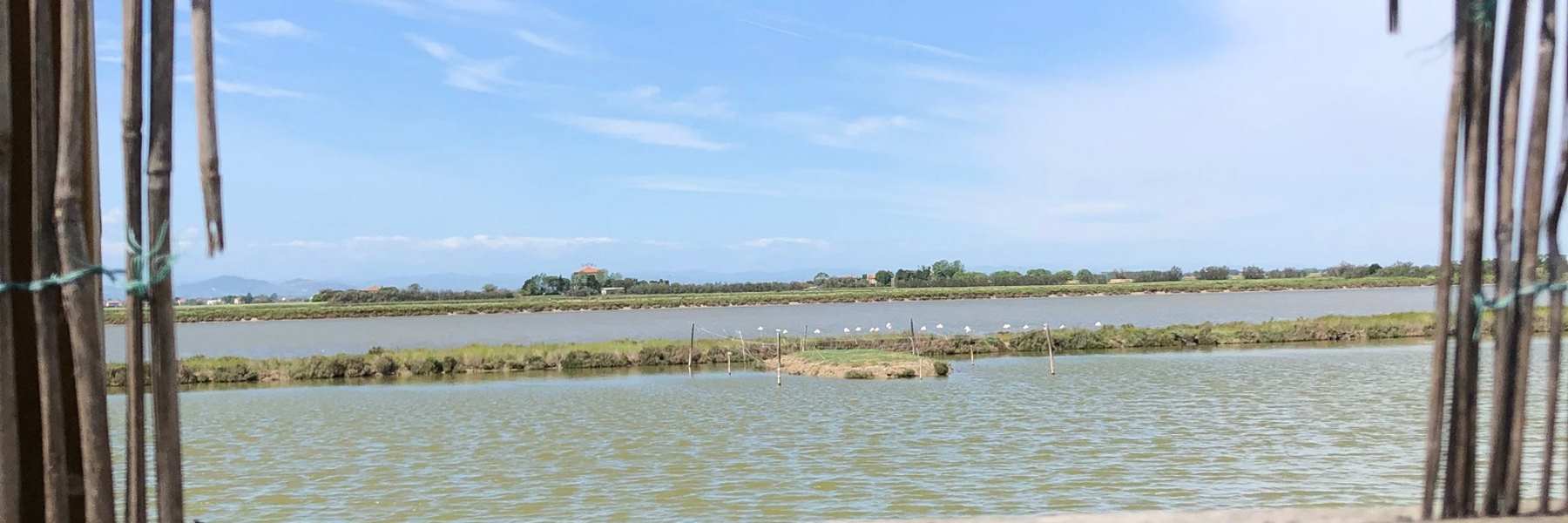 Walk along the tamarisk path