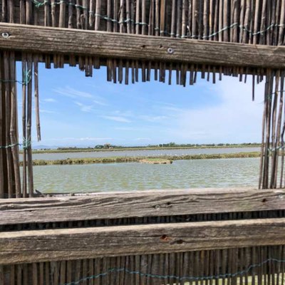 Walk along the tamarisk path