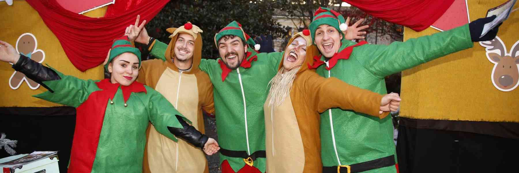 The Christmas Garden with the Elves and the Grinch