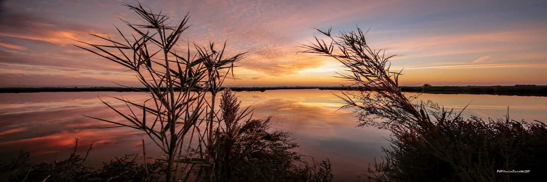 Sunrises and sunsets in the salt pan with Avifauna