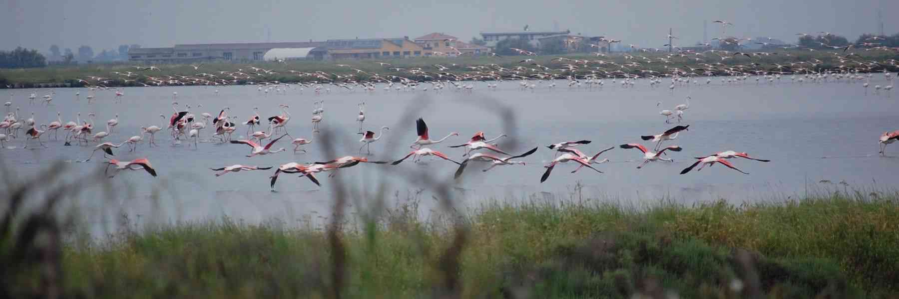 Primavera Slow 2024 in Cervia