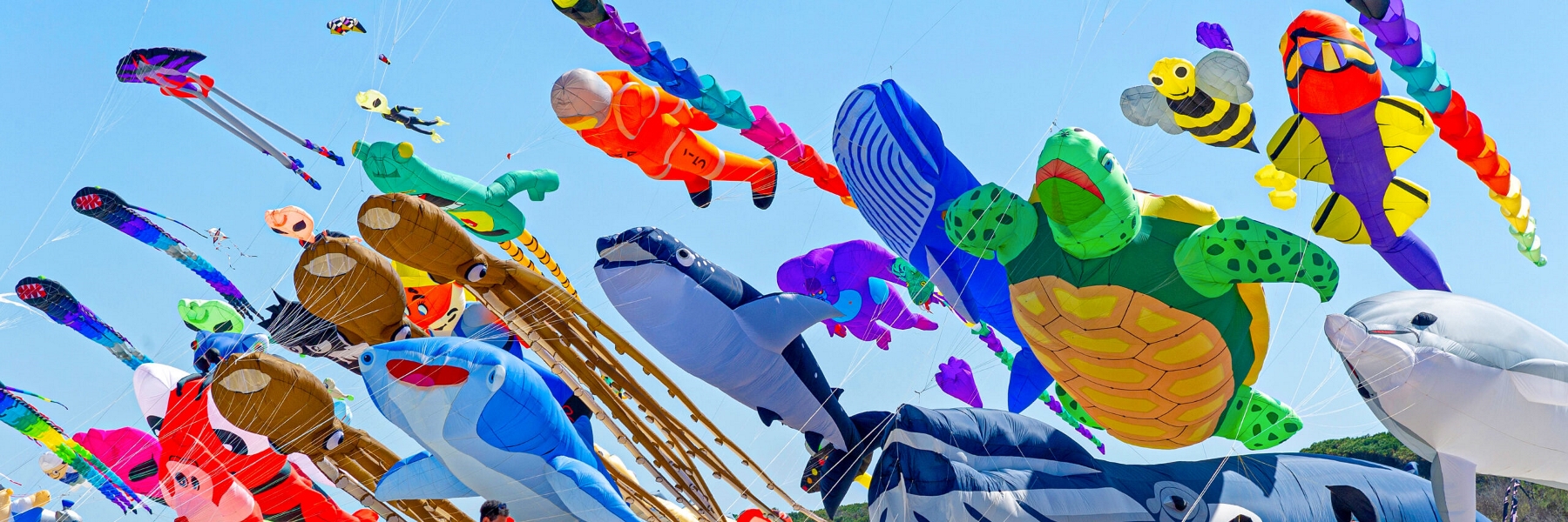 45th Artevento Cervia International Kite Festival