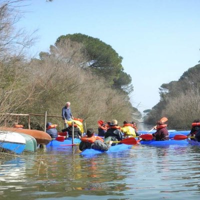 Saint Stephen's Trophy - Rinaldo Giani