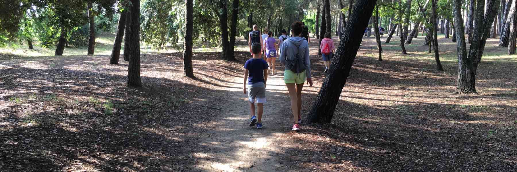 Riviera dei Pini Wellness - Yoga lessons in the pinewood