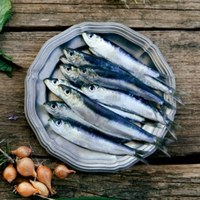 Marinated medium-size sardine