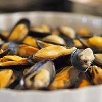 Mussels and clams with Cervia's pineseeds