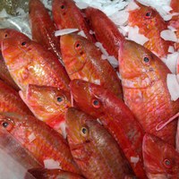 Red mullet en papillote