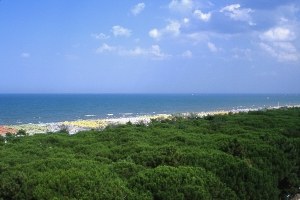 Pineta litoranea