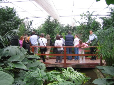 Guided tours of the Butterfly House