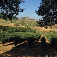 Entre villages et collines verdoyantes