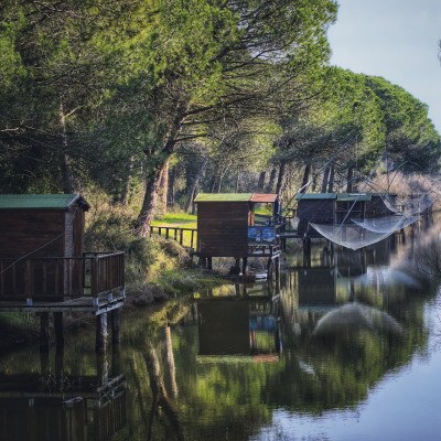 Une étreinte vert émeraude