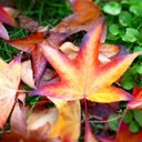 10 choses à faire à Cervia en automne