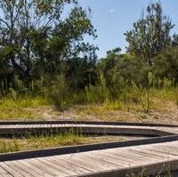 La Dune: un milieu naturel en évolution