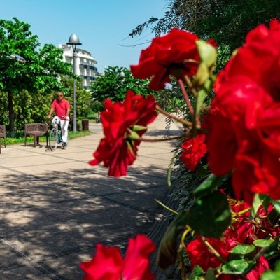 La nouvelle Promenade de Milano Marittima