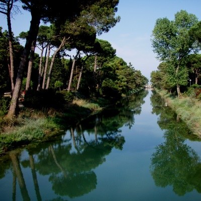 La pinède de Cervia - Milano Marittima