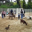 Le Parc Naturel, une oasis de verdure