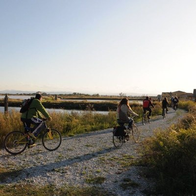 Á vélo dans les marais salants