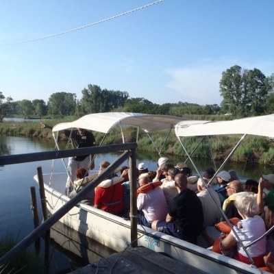 En bateau à la recherche de flamants roses 