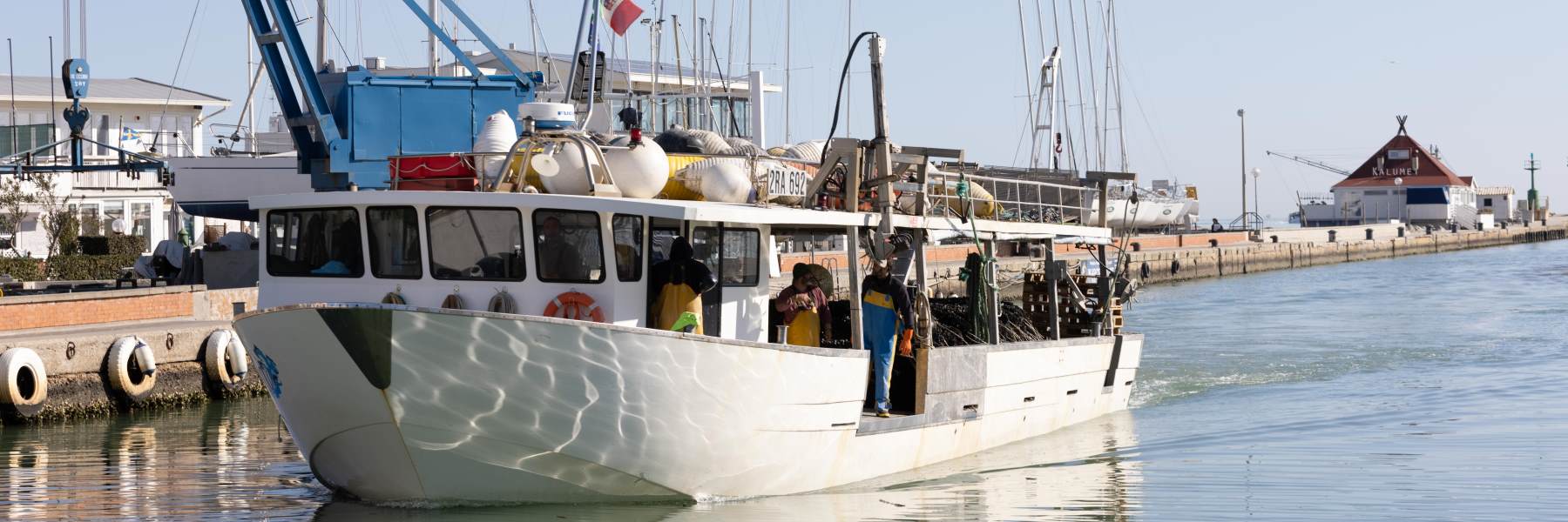 Les moules de Cervia