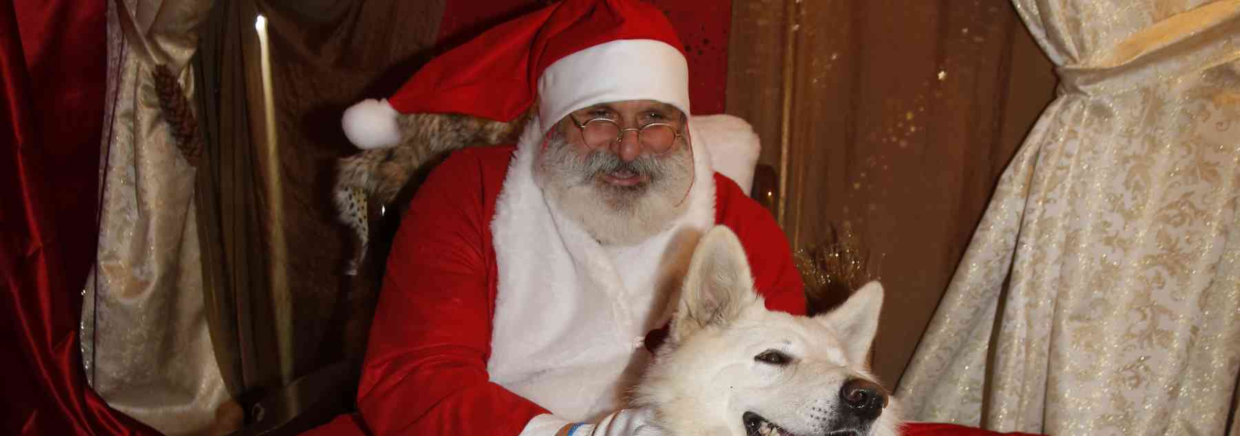 Assistant du Père Noël