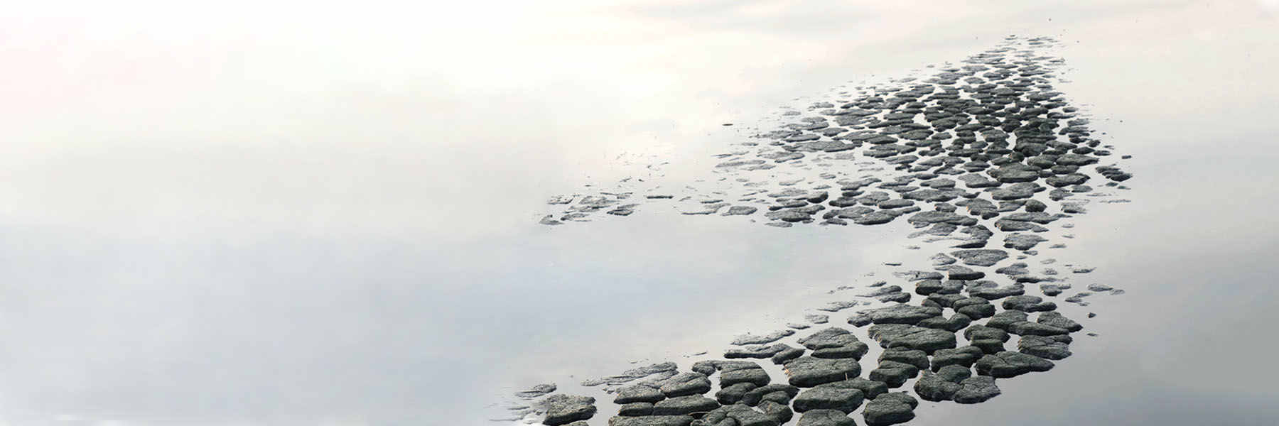 Aqualdulcis