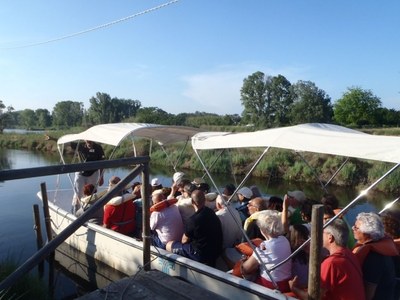 En saline en bateau, itinéraire naturaliste